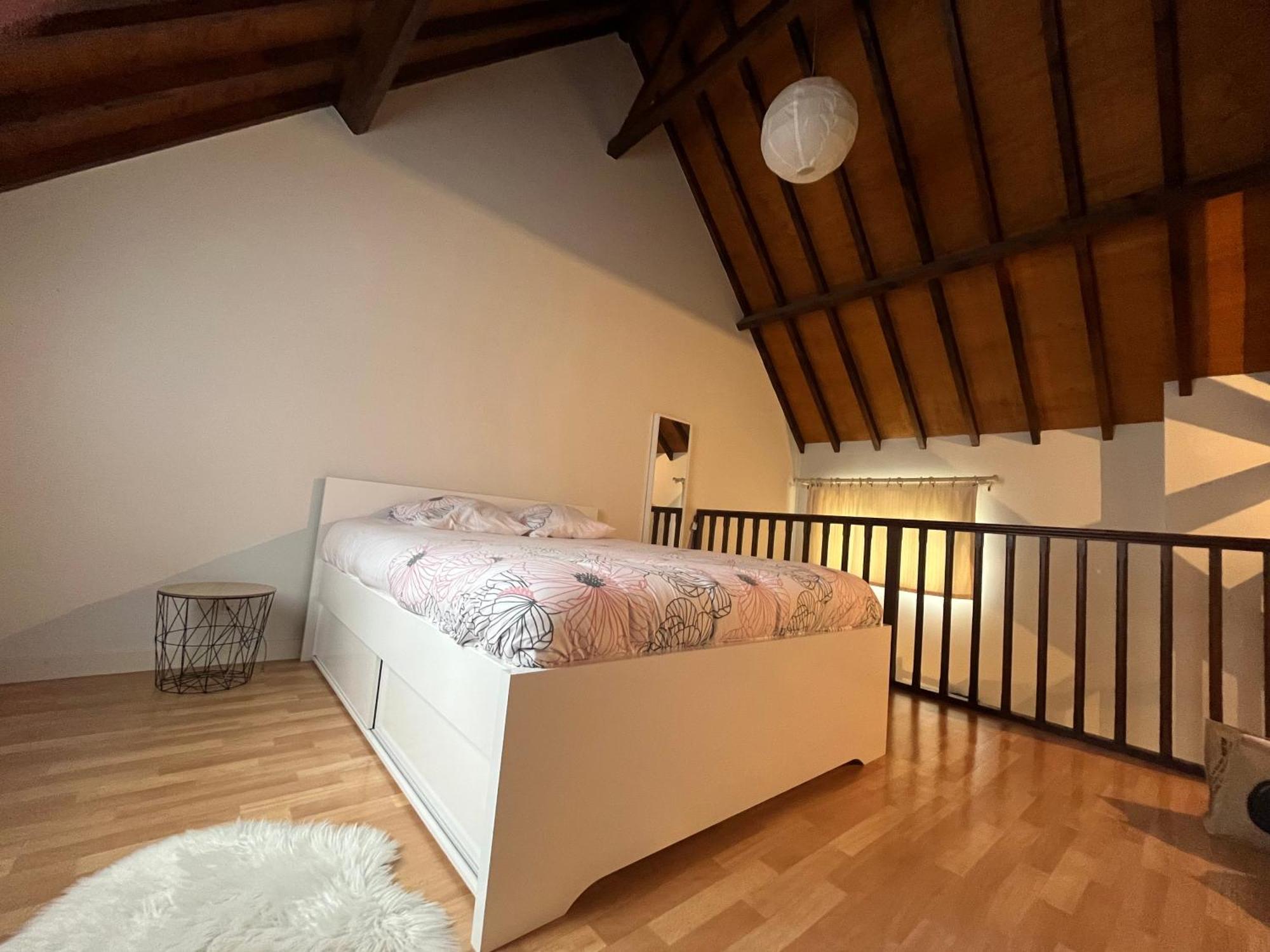 Le Mortier D'Or Duplex Hyper Centre Ville Труа Экстерьер фото